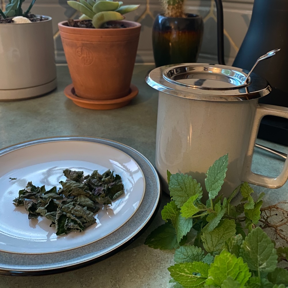 lemon balm tea